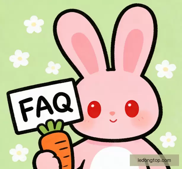 常见问题汇总